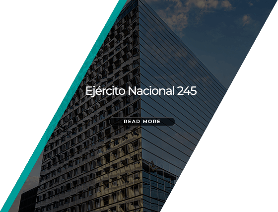 ejercito nacional