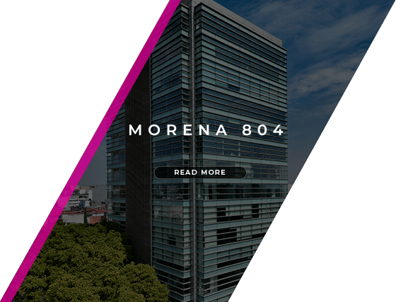 Morena 804